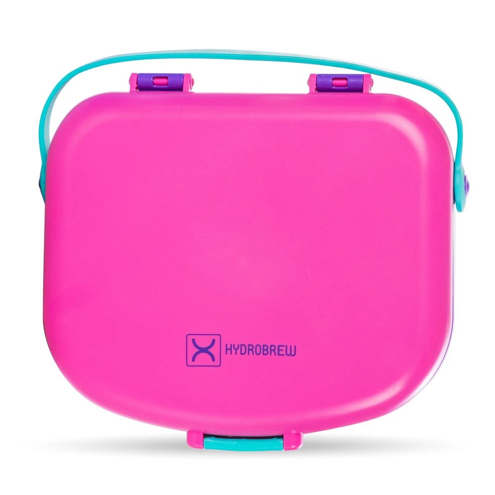 Hydrobrew 4-Compartment Bento Lunch Box with Spoon & Fork Set - Fuchsia